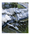 Agro Commercial Pond Trays Fountain Trays Feature_Naturally-Designed